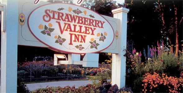 Strawberry Valley Inn Маунт Шаста Екстериор снимка